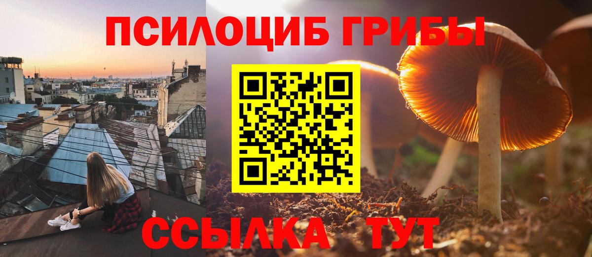 Галлюциногенные грибы GOLDEN TEACHER Раменское