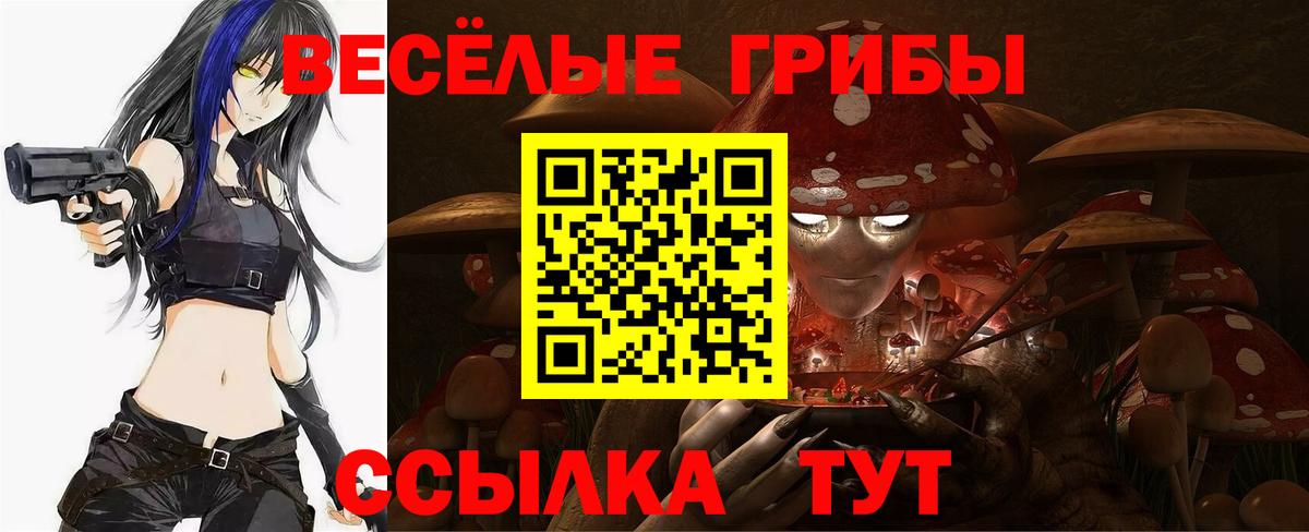 Псилоцибиновые грибы Psilocybe  Вход с VPN  Раменское 